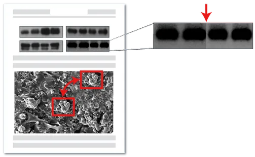 图片篡改检测示例